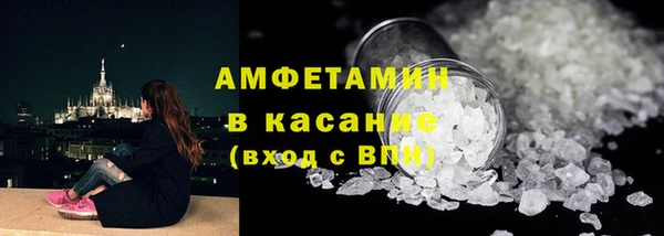 индика Новозыбков