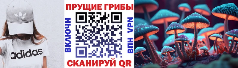 Галлюциногенные грибы мицелий  мега   Ревда 